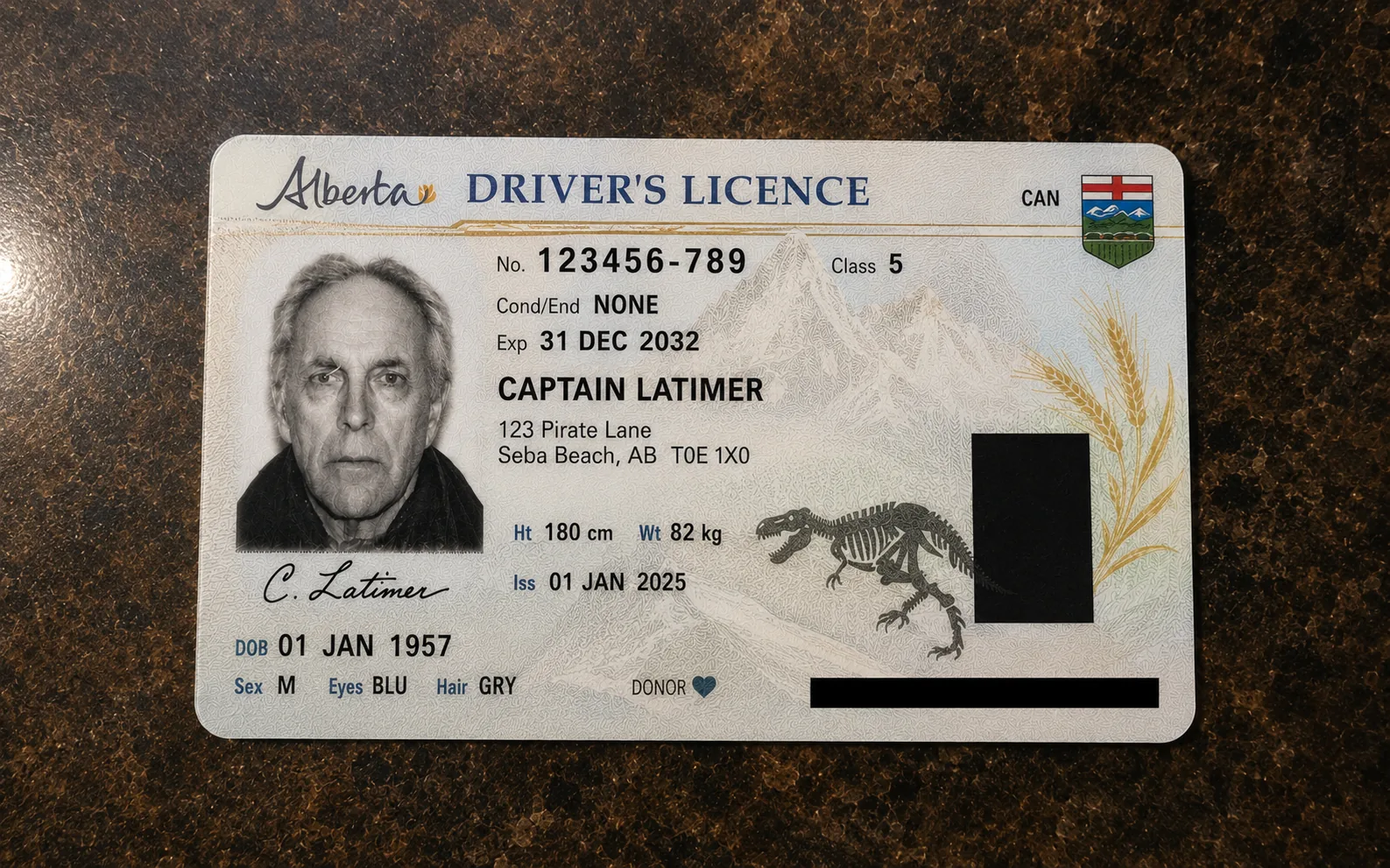 Fictional campaign prop resembling an Alberta driver's licence for Captain Latimer on a dark counter; all details are invented.